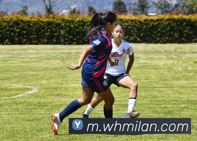 米兰体育平台生态图